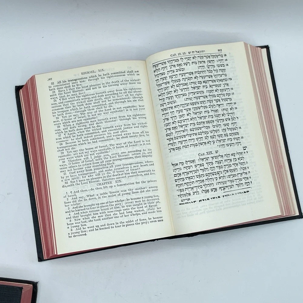 The Holy Bible 24 Books of the Holy Scriptures Vol I & II Hebrew (ISAAC‎ LEESER)